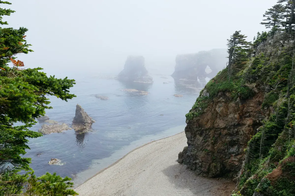Неожиданные впечатления